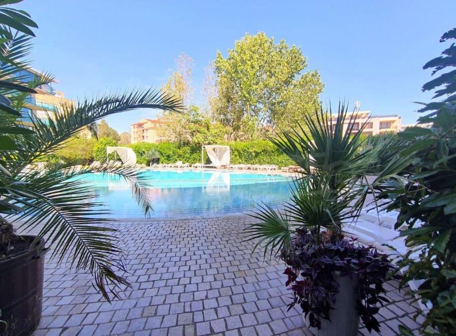 Large Apartment In Sunny Beach Ngoại thất bức ảnh